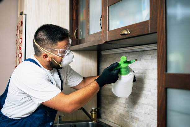 Best Exterminator Services  in Selmer, TN