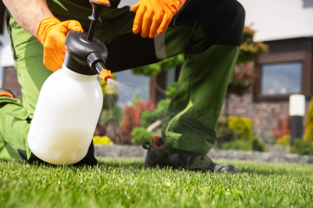 Best Best Pest Control Companies  in Selmer, TN