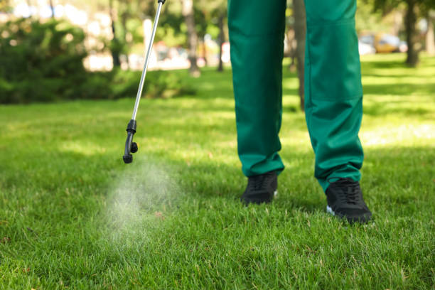 Best Cockroach Control Services  in Selmer, TN