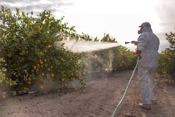 Best Affordable Pest Control Services  in Selmer, TN