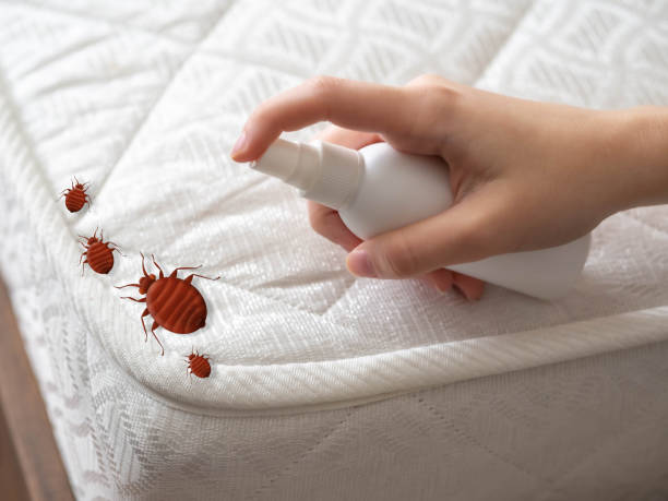 Best Pest Control Treatment  in Selmer, TN