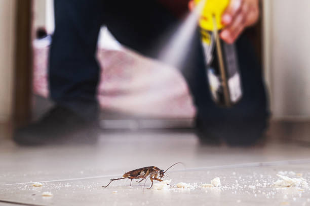 Best Insect Control  in Selmer, TN